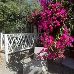 Mavi Lotus 3* Yaka (Mugla)
