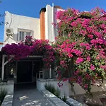 Mavi Lotus Yaka (Mugla)