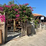 Mavi Lotus Bed & Breakfast 3*