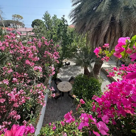 Bed & Breakfast Mavi Lotus