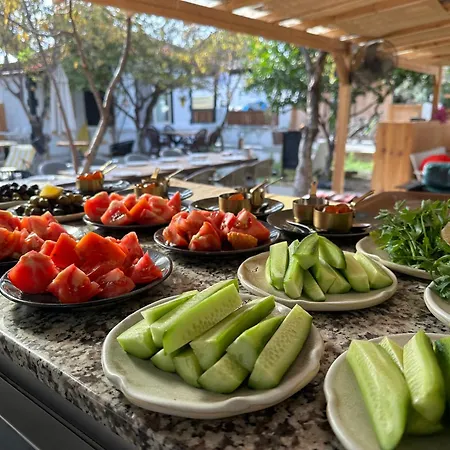 Mavi Lotus Bed & Breakfast