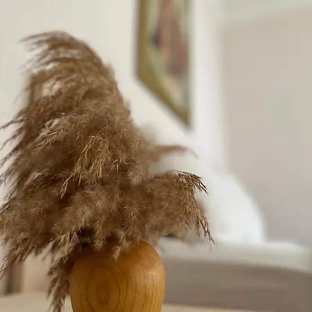 Bed & Breakfast Mavi Lotus 3*