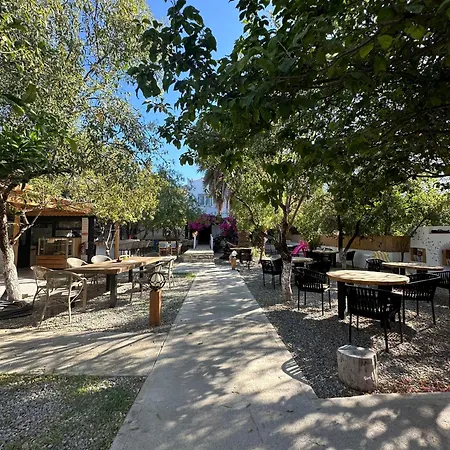 Bed & Breakfast Mavi Lotus