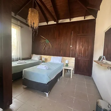 Mavi Lotus فندق مبيت وإفطار 3*