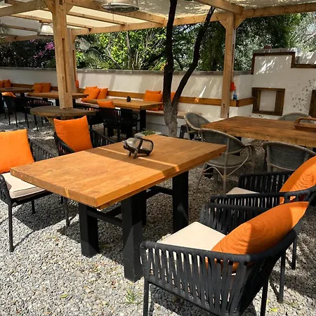 Mavi Lotus فندق مبيت وإفطار 3*