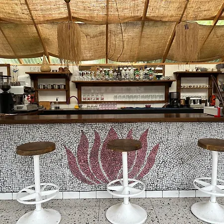 Mavi Lotus Bed & Breakfast 3*