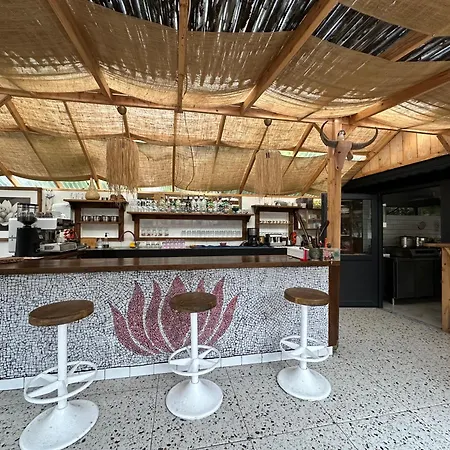 Mavi Lotus Yaka (Mugla)