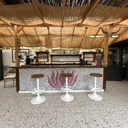 Mavi Lotus Bed & Breakfast 3*