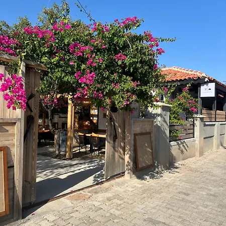 Mavi Lotus فندق مبيت وإفطار 3*