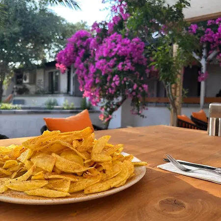 Bed & Breakfast Mavi Lotus