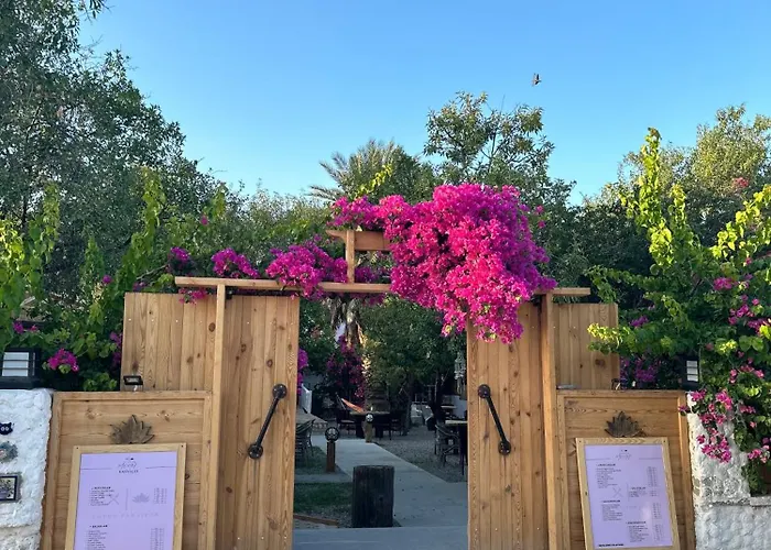 Bed & Breakfast Mavi Lotus