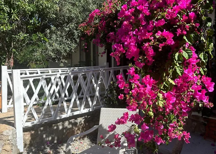 Mavi Lotus 3* Yaka (Mugla)