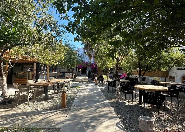 Bed & Breakfast Mavi Lotus