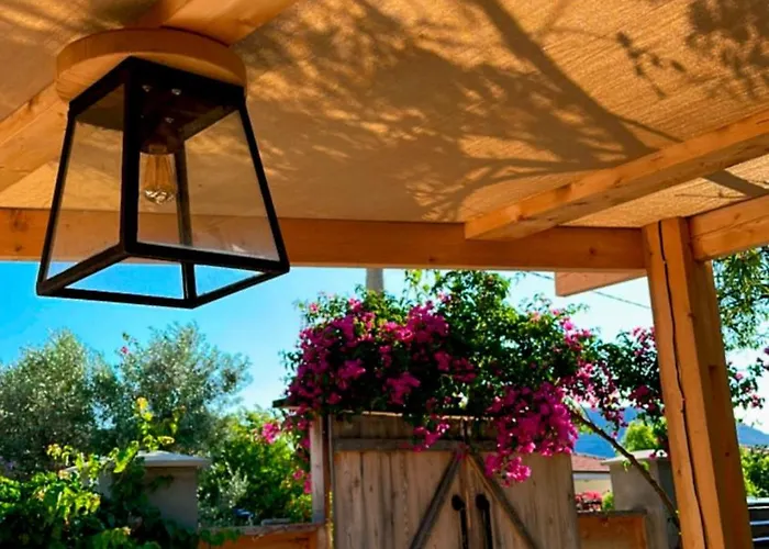 Mavi Lotus Yaka (Mugla)