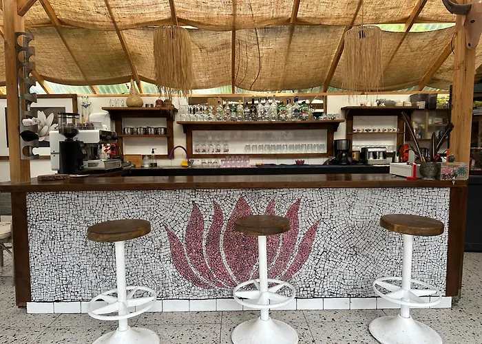 Mavi Lotus Bed & Breakfast 3*