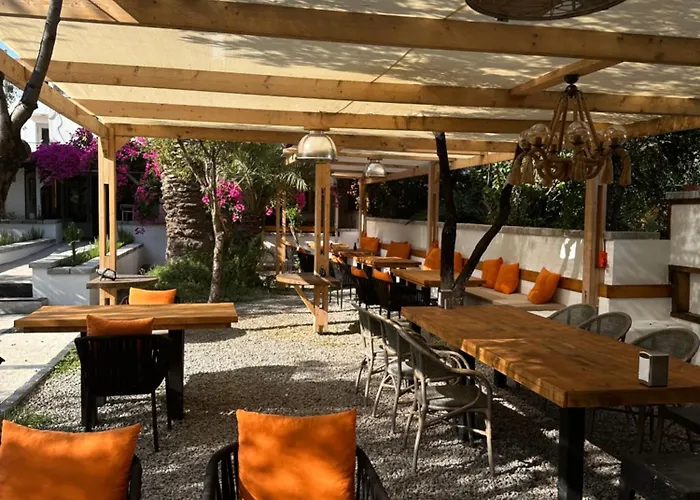 Mavi Lotus Bed & Breakfast 3*