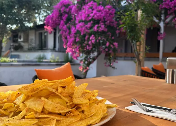 Bed & Breakfast Mavi Lotus