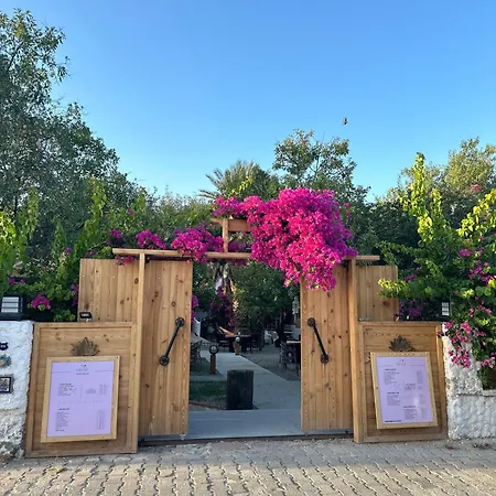 Bed and Breakfast Mavi Lotus