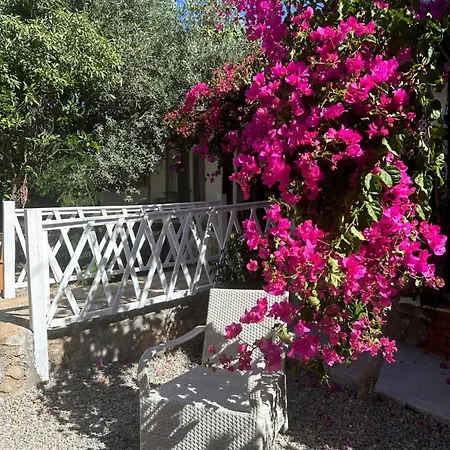 Mavi Lotus 3* Yaka (Mugla)