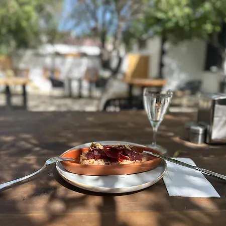 Mavi Lotus