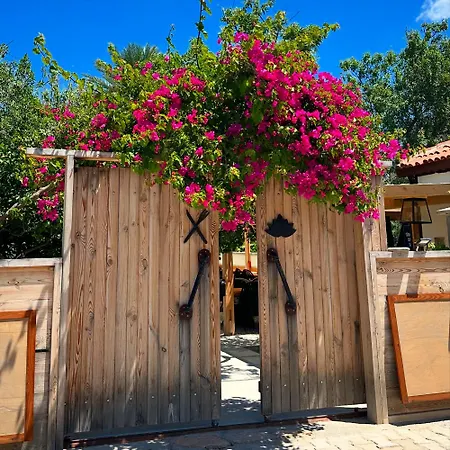 Mavi Lotus Bed and Breakfast Yaka (Mugla)