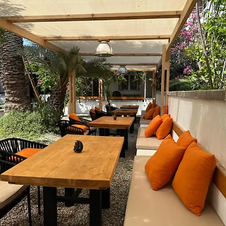 Mavi Lotus Bed and Breakfast