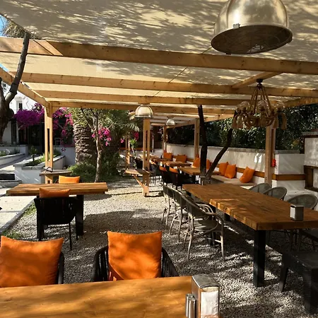 Mavi Lotus Bed and Breakfast 3*