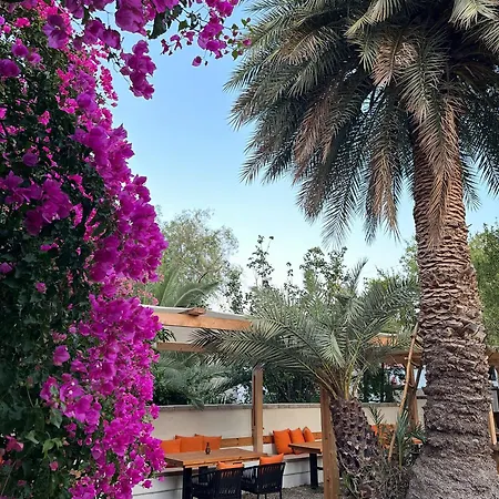 Mavi Lotus Bed & Breakfast Datça